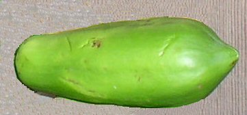 Grappe de bananes vertes