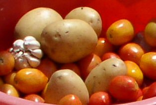 Gousse d'ail, pommes de terre et tomates